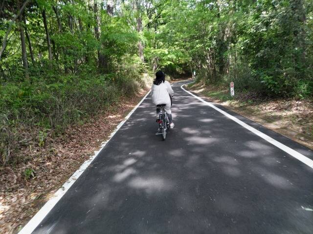 国営武蔵丘陵森林公園に自転車を積んで行ってきた_9
