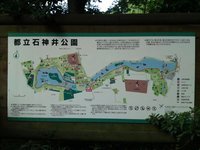 石神井公園1