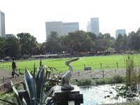 日比谷公園5