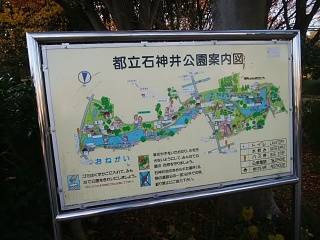 石神井公園の紅葉 12月初旬_3