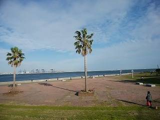 城南島海浜公園_1