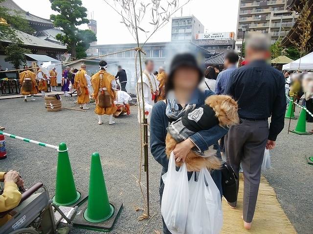 ペット(犬)と一緒に川崎大師火渡り修行_2