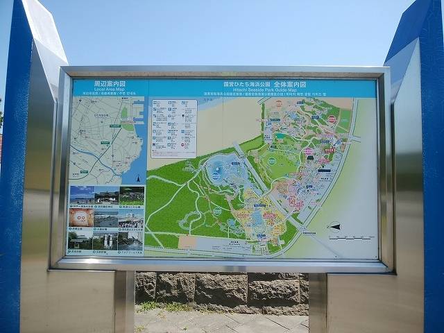 ペットとネモフィラ見ごろの国営ひたち海浜公園へ_1