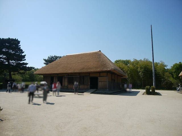 ペットとネモフィラ見ごろの国営ひたち海浜公園へ_1