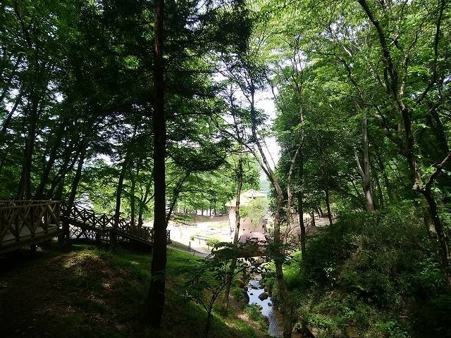 ペットとトーベ・ヤンソンあけぼの子どもの森公園へ_10