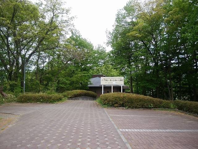 ペットと芝桜見頃の羊山公園へ_10