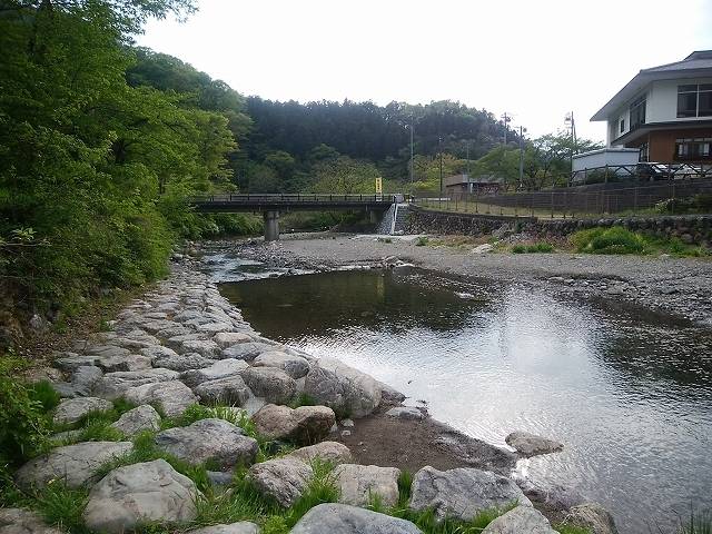 ペットと芝桜見頃の羊山公園へ_15