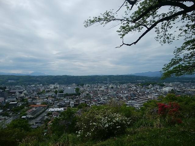 ペットと芝桜見頃の羊山公園へ_8