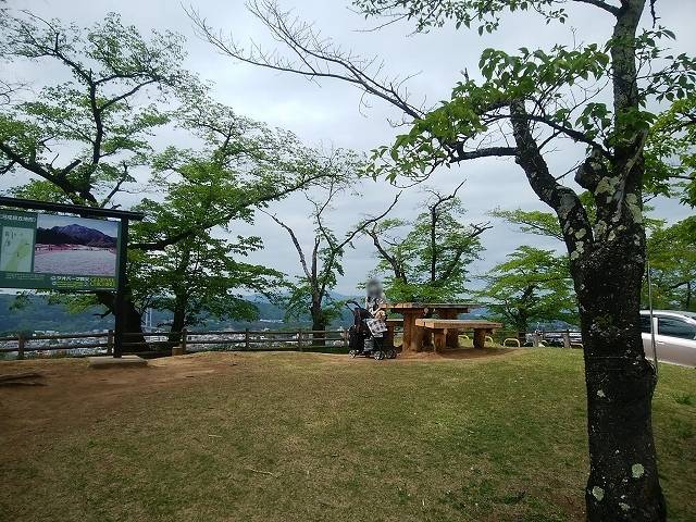 ペットと芝桜見頃の羊山公園へ_9