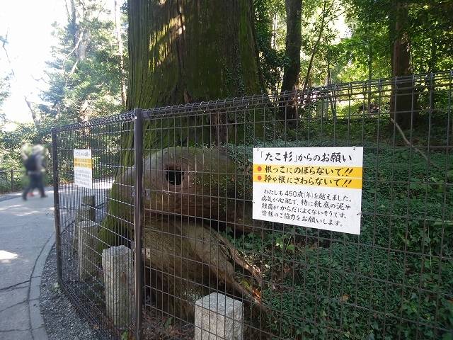 お得な高尾山きっぷで高尾山へ_12