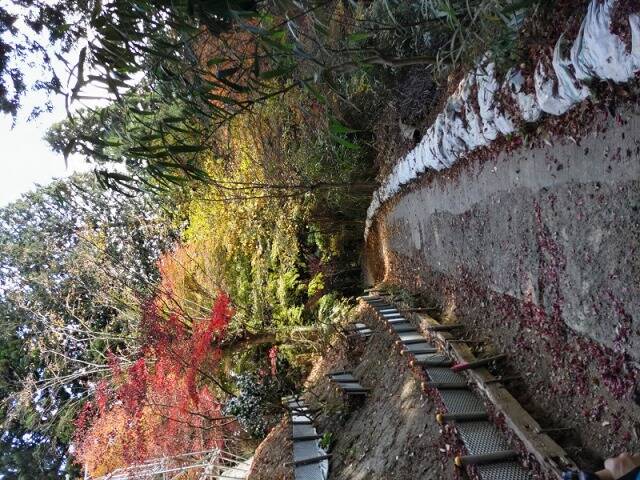 御岳山から日の出山へ 頂上でのカップラーメンは最高だった!!_10