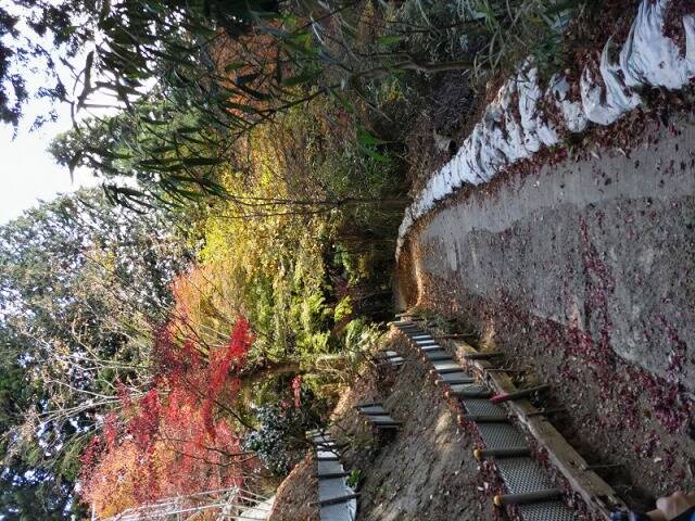 御岳山から日の出山へ　頂上でのカップラーメンは最高だった!!_10