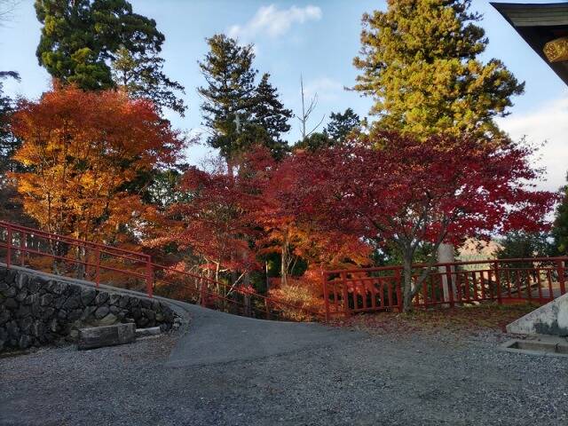 御岳山から日の出山へ　頂上でのカップラーメンは最高!!_27