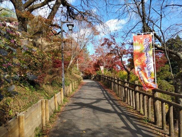 御岳山から日の出山へ 頂上でのカップラーメンは最高だった!!_6