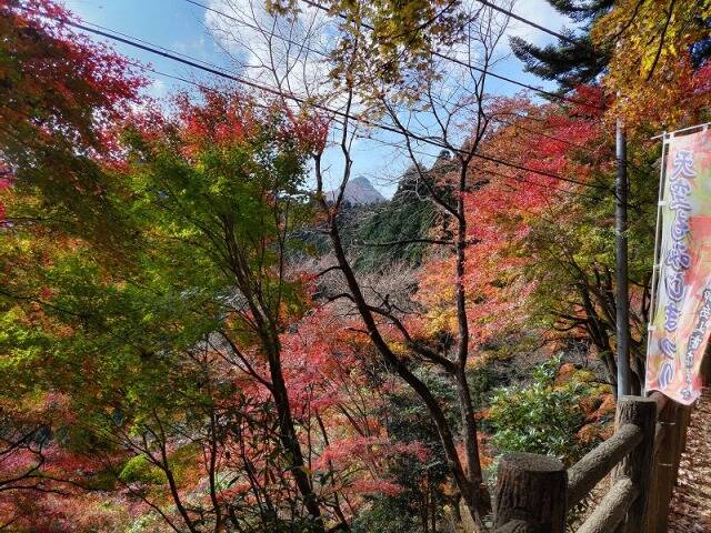 御岳山から日の出山へ 頂上でのカップラーメンは最高だった!!_7