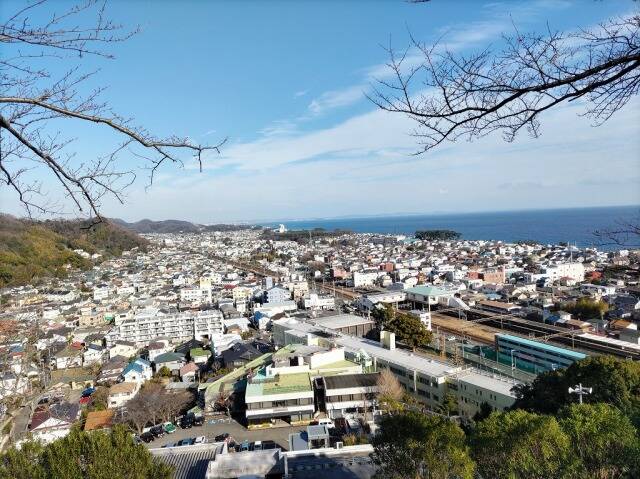 吾妻山公園(二宮)に行ってきた_15