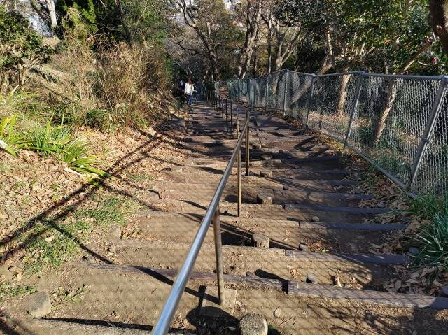 吾妻山公園(二宮)に行ってきた_16