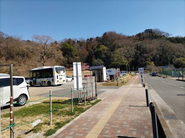 吾妻山公園(二宮)に行ってきた_2