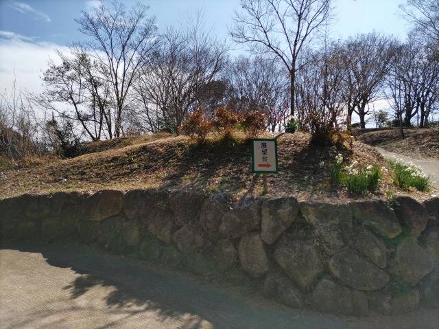 吾妻山公園(二宮)に行ってきた_7