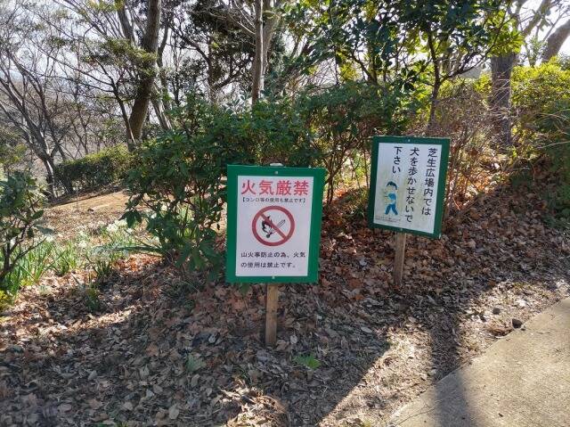 吾妻山公園(二宮)に行ってきた_8