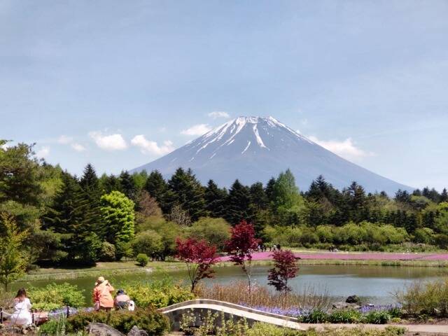 富士芝桜まつり(富士本栖湖リゾート)に行ってきた_11