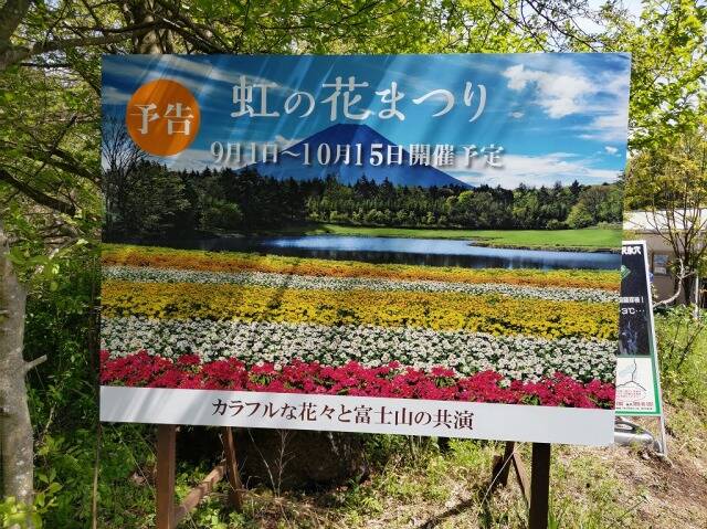 富士芝桜まつり(富士本栖湖リゾート)に行ってきた_16