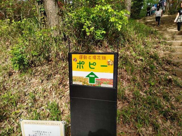 国営武蔵丘陵森林公園に自転車を積んで行ってきた_13