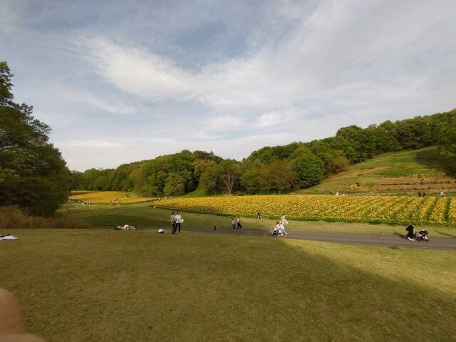 国営武蔵丘陵森林公園に自転車を積んで行ってきた_18