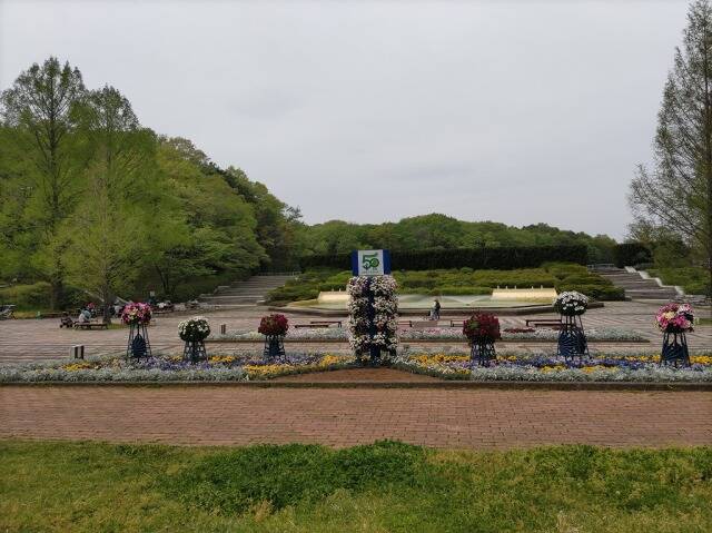 国営武蔵丘陵森林公園に自転車を積んで行ってきた_2