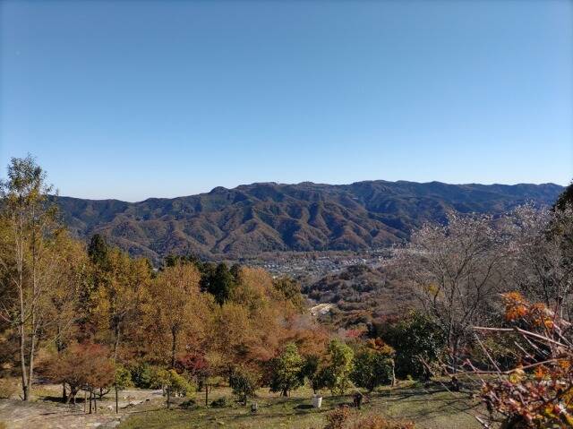 ロープウェイで宝登山へ。そして長瀞散策。_10