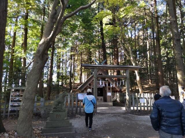 ロープウェイで宝登山へ。そして長瀞散策。_12