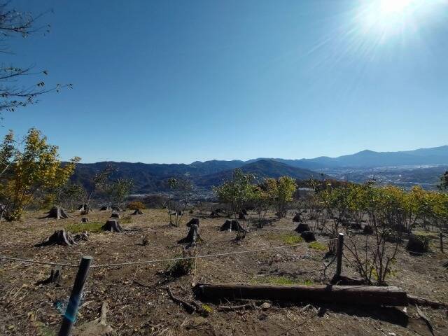 ロープウェイで宝登山へ。そして長瀞散策。_13