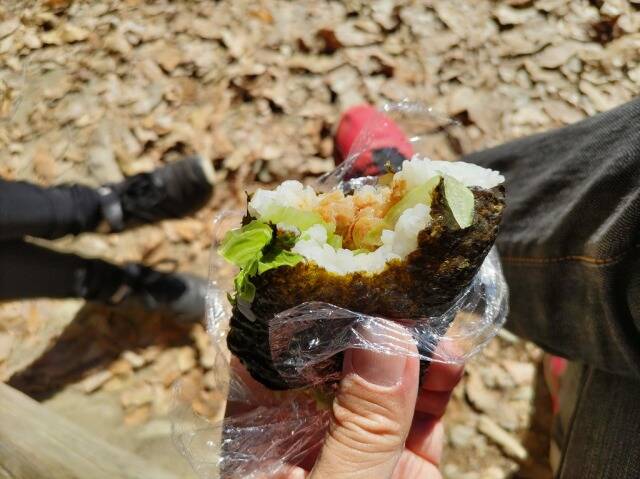 ロープウェイで宝登山へ。そして長瀞散策。_15