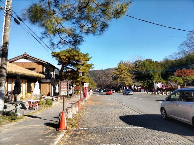 ロープウェイで宝登山へ。そして長瀞散策。_19