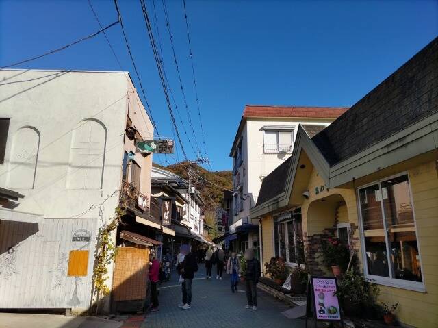 ロープウェイで宝登山へ。そして長瀞散策。_21