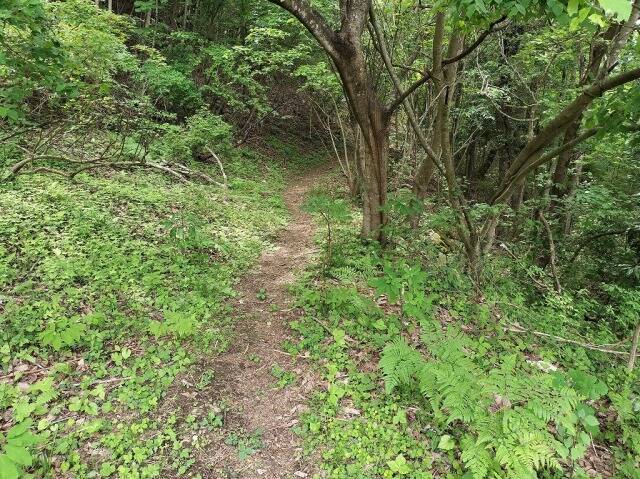 ロープウェイを使わず宝登山へ_10
