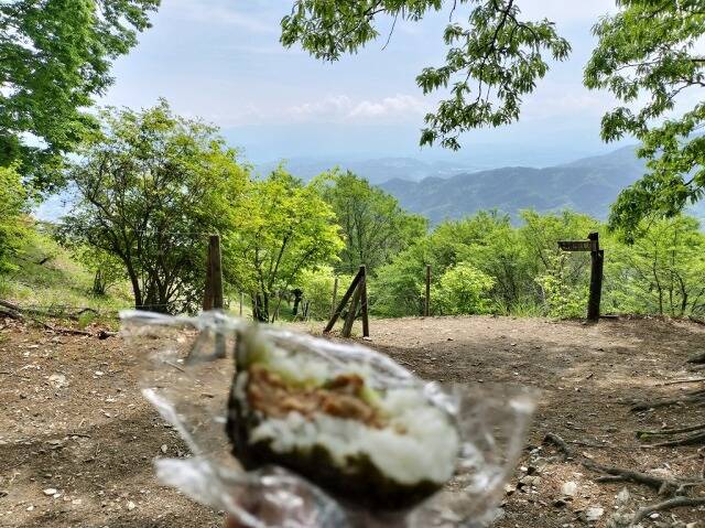 ロープウェイを使わず宝登山へ_14