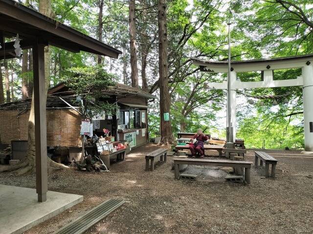 ロープウェイを使わず宝登山へ_18