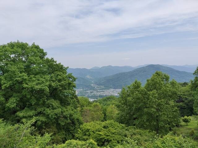 ロープウェイを使わず宝登山へ_21