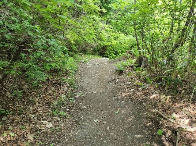 ロープウェイを使わず宝登山へ_23