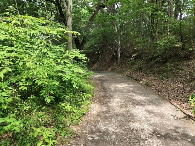 ロープウェイを使わず宝登山へ_24