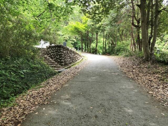 ロープウェイを使わず宝登山へ_5