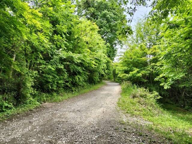 ロープウェイを使わず宝登山へ_6