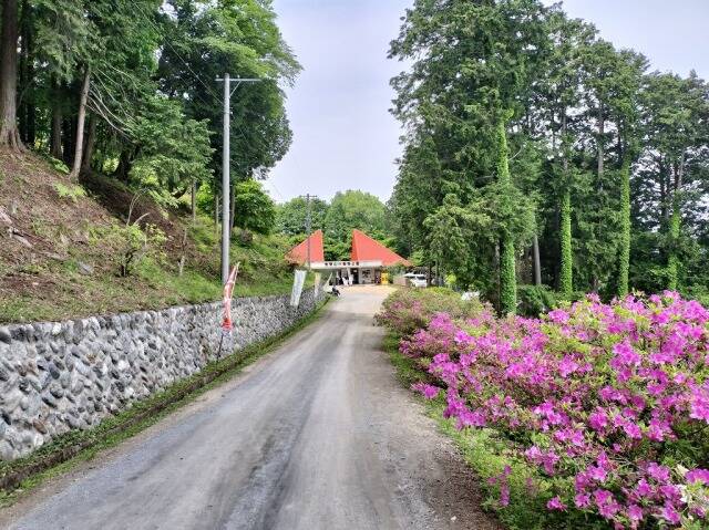 ロープウェイを使わず宝登山へ_8