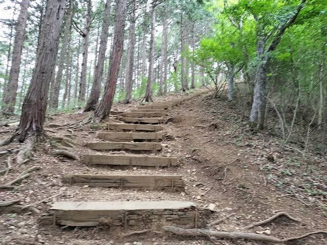 あしがくぼ山の花道駐車場から日向山(埼玉)へプチ登山_10