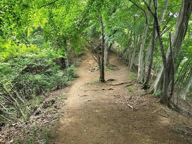 あしがくぼ山の花道駐車場から日向山(埼玉)へプチ登山_11