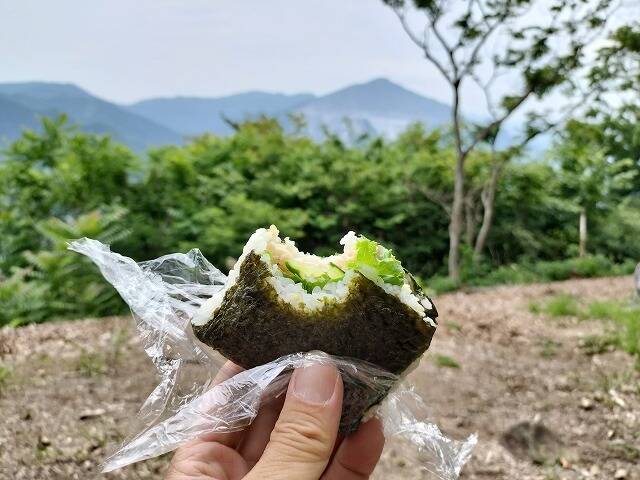 あしがくぼ山の花道駐車場から日向山(埼玉)へプチ登山_17