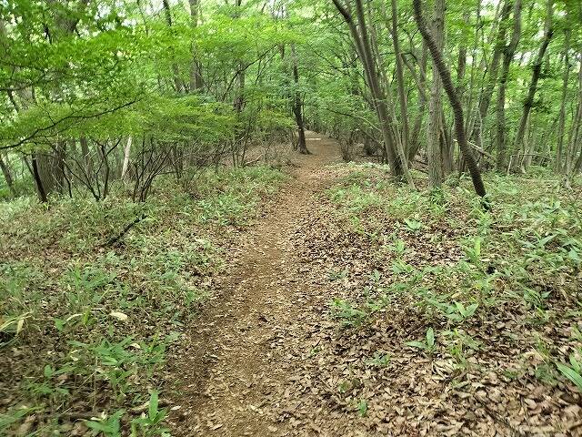 あしがくぼ山の花道駐車場から日向山(埼玉)へプチ登山_18