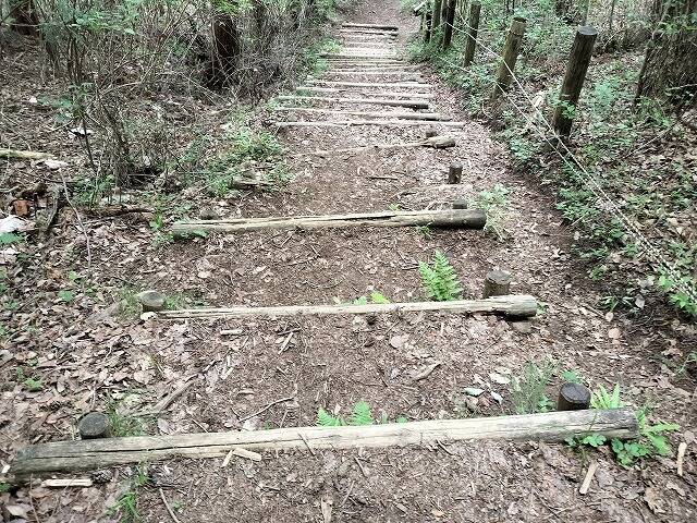 あしがくぼ山の花道駐車場から日向山(埼玉)へプチ登山_19