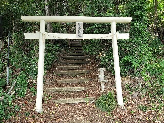 あしがくぼ山の花道駐車場から日向山(埼玉)へプチ登山_22